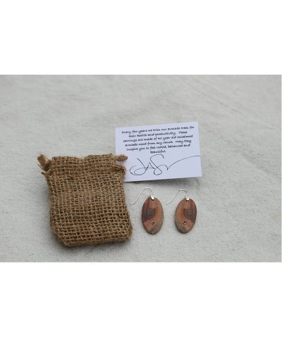 Jason Mraz Avocado Wood Earrings with Ruby $10.12 Accessories