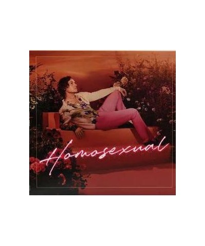 Darren Hayes Homosexual vinyl record $4.58 Vinyl